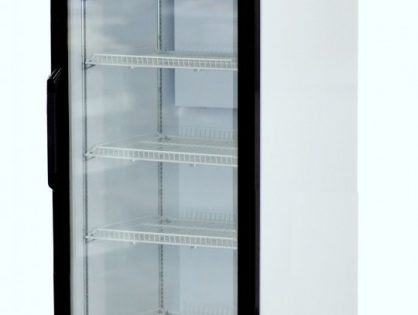 Холодильный шкаф Снеж Bonvini 500 BGK